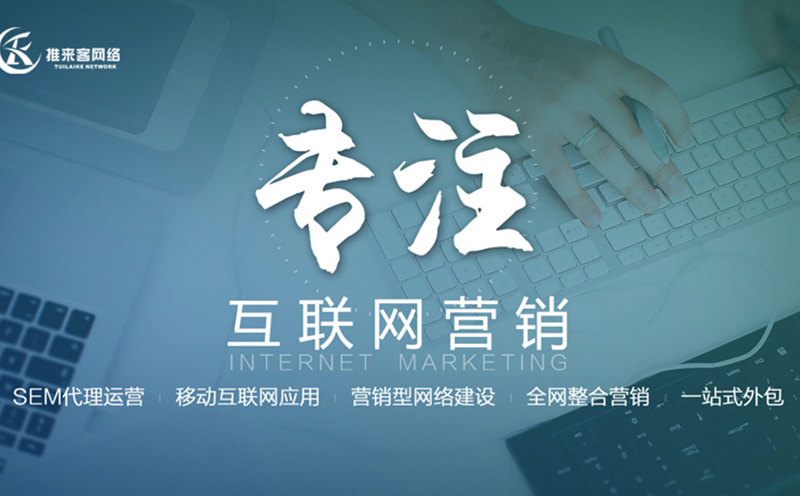 专业网站降权公司